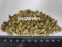 Кардамон цілий, зел., елітн. круп. розм.8/10 мм.Індія 2024 р.100 гр
