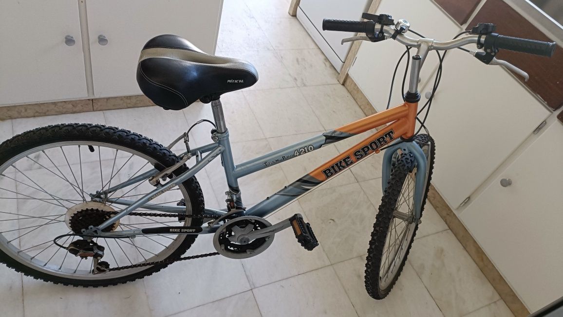 Bicicleta Team Pro 4210