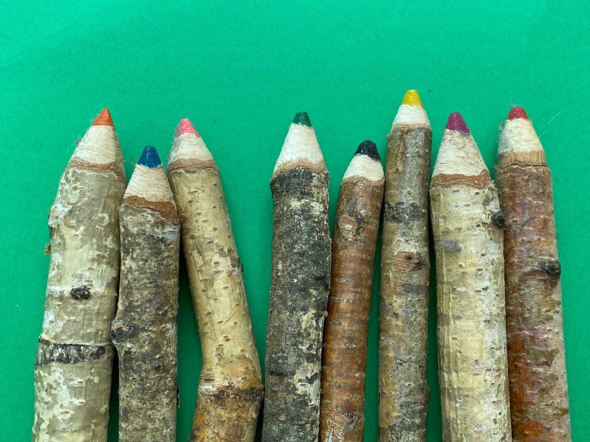 Набор карандашей из березовых веток (8 штук в наборе)