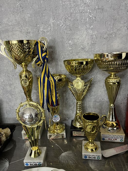 Вʼязка померанський шпіц ведмежого типу