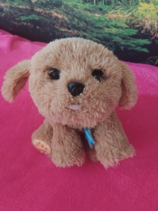 Tuluś interaktywny, Little live pets.