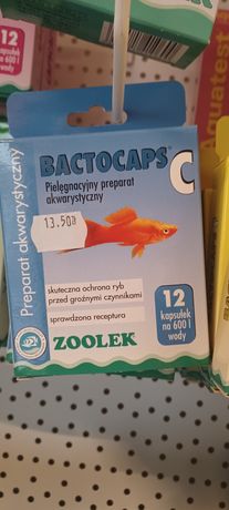 Bactocaps C zoolek 12 kapsułek