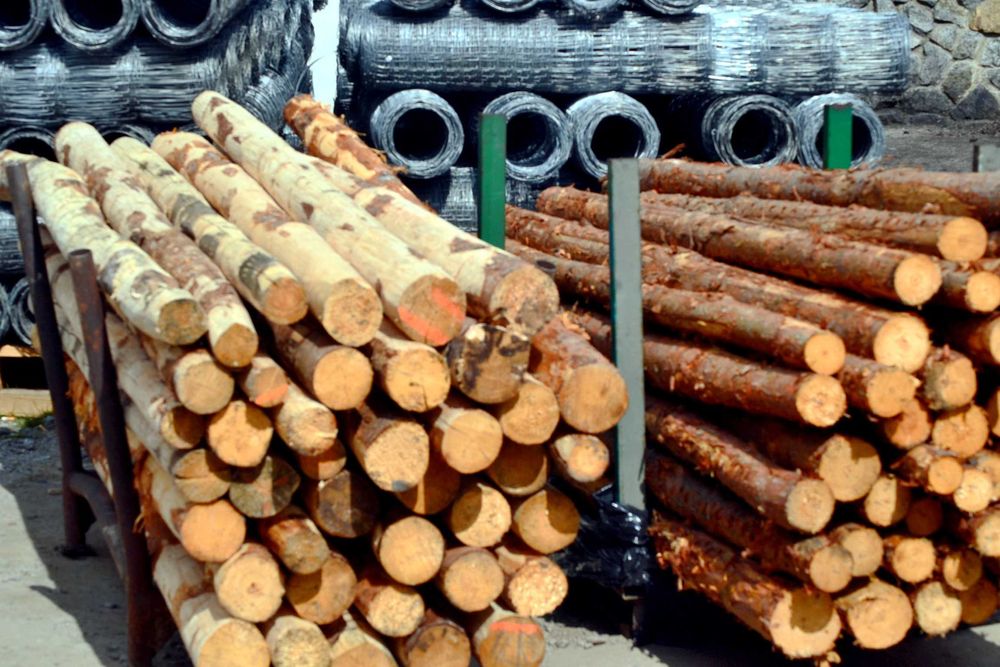 Siatka Ogrodzeniowa LEŚNA 1,5 mh - 150/10/30 - 50 mb