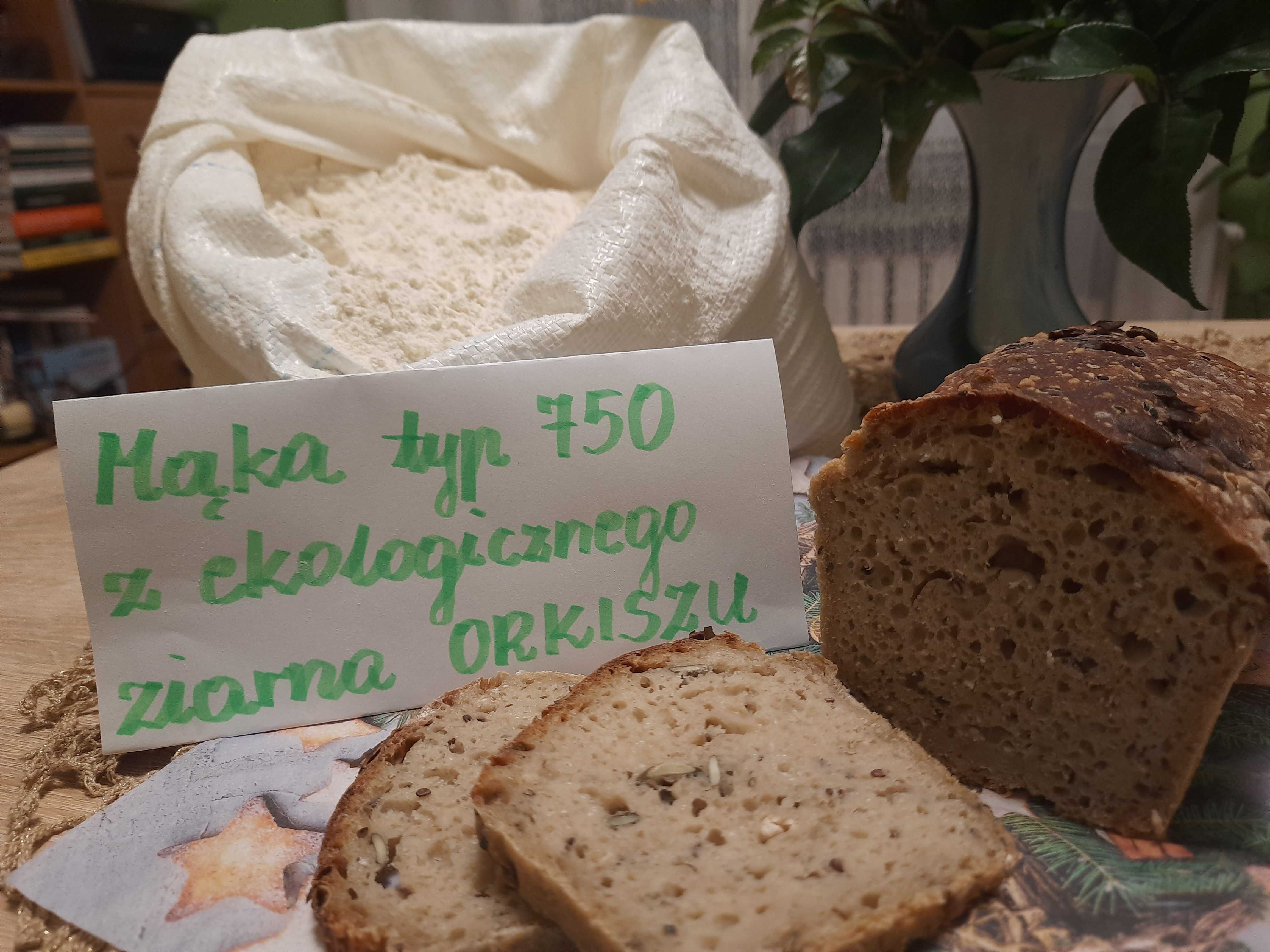 10 kg certyfikowanej EKOLOGICZNEJ mąki  orkiszowej typ 750