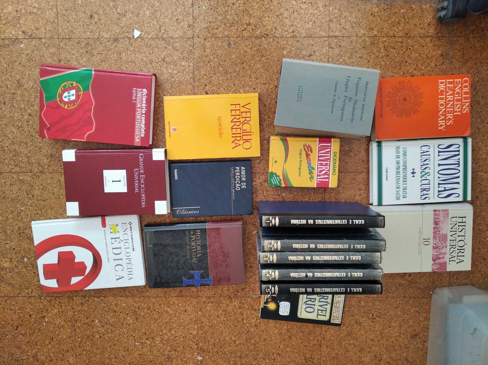 Conjunto de livros: clássicos, ficção cientifica, enciclopédias, etc.