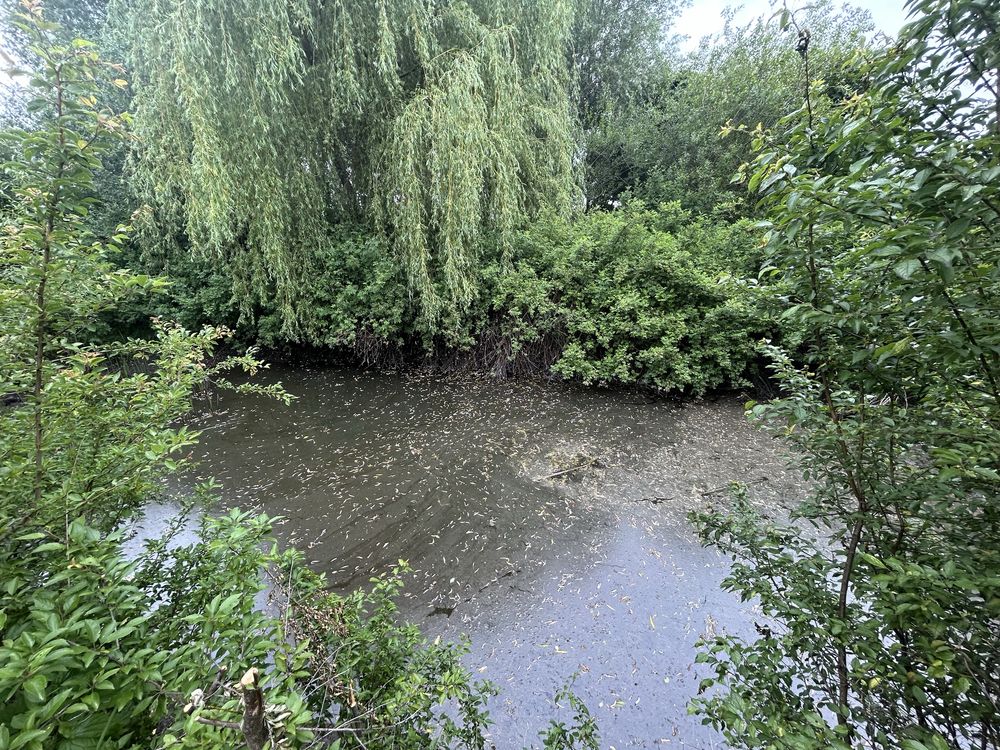 Продаж будинку село Карпилівка