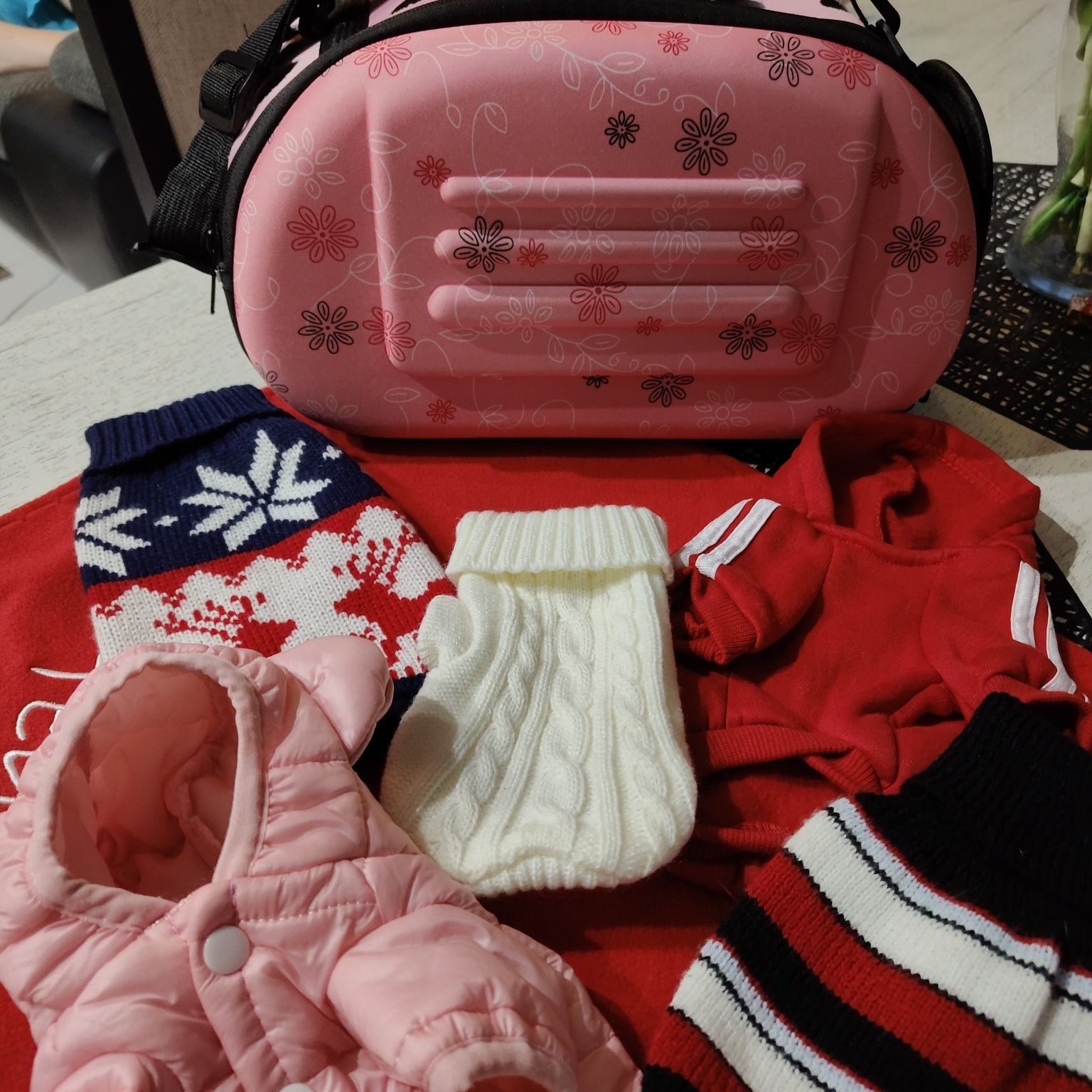 Transporter i ubranka dla małego pieska szczeniaka