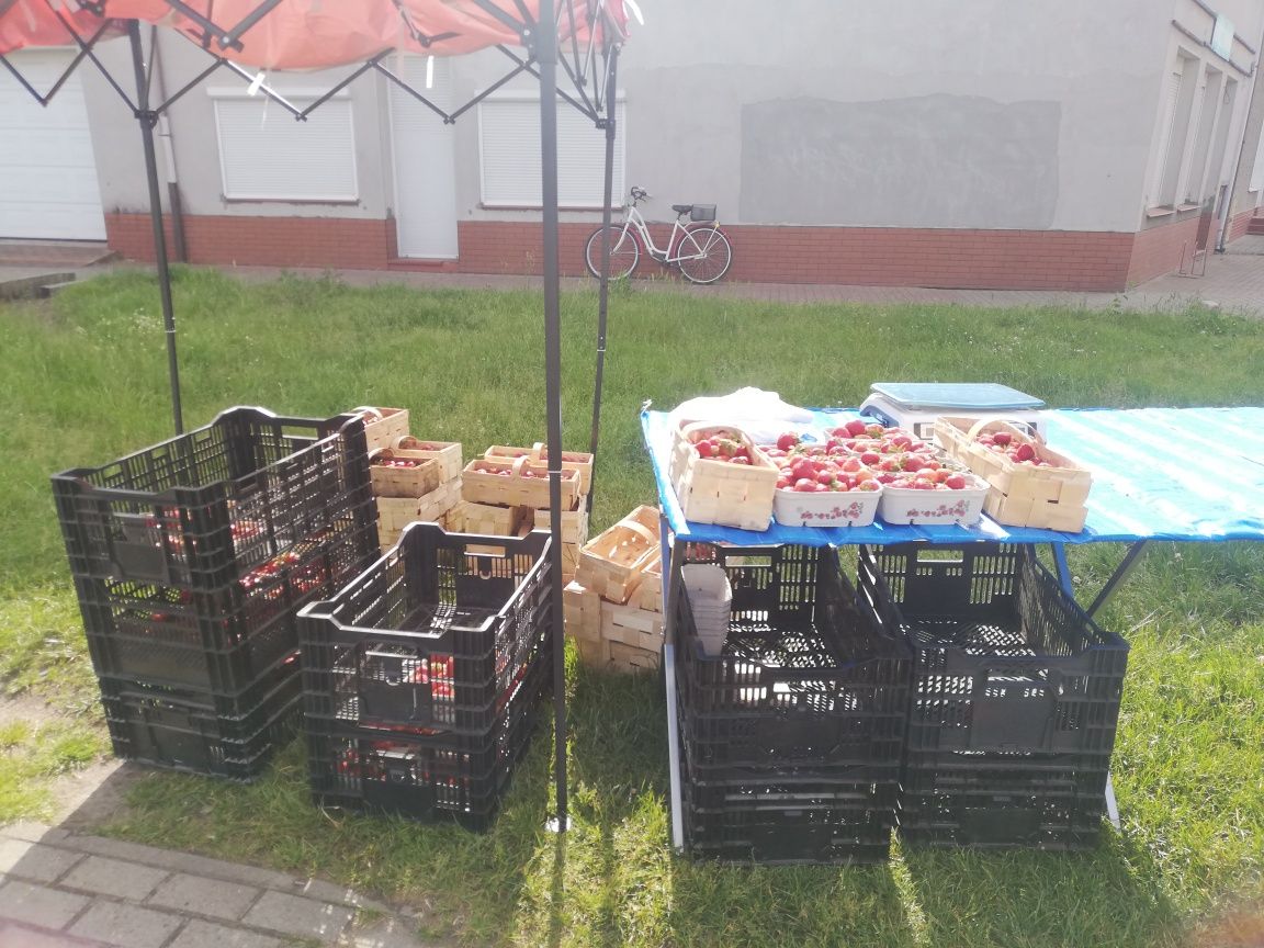 Pokuj do wynajecia
