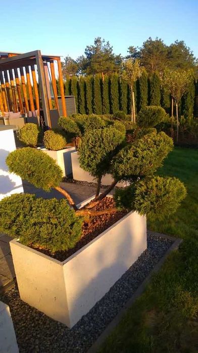 DONICA Betonowa Donice Betonowe Beton Architektoniczny PRODUCENT!!!