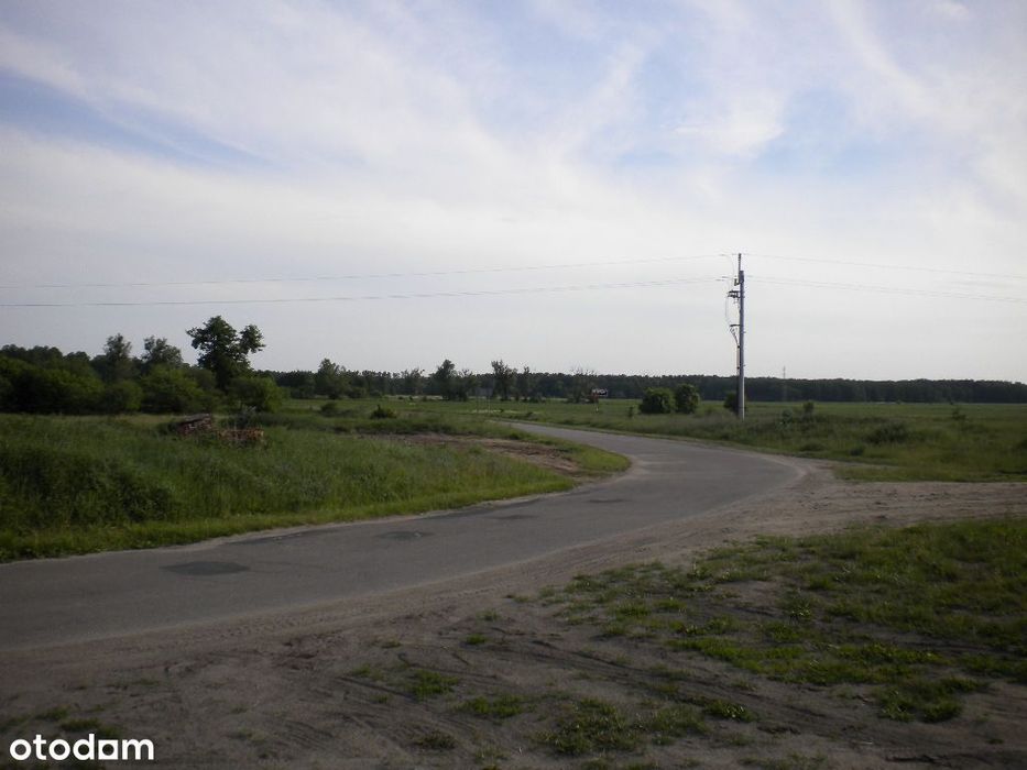 Wynajmę grunty pod OZE