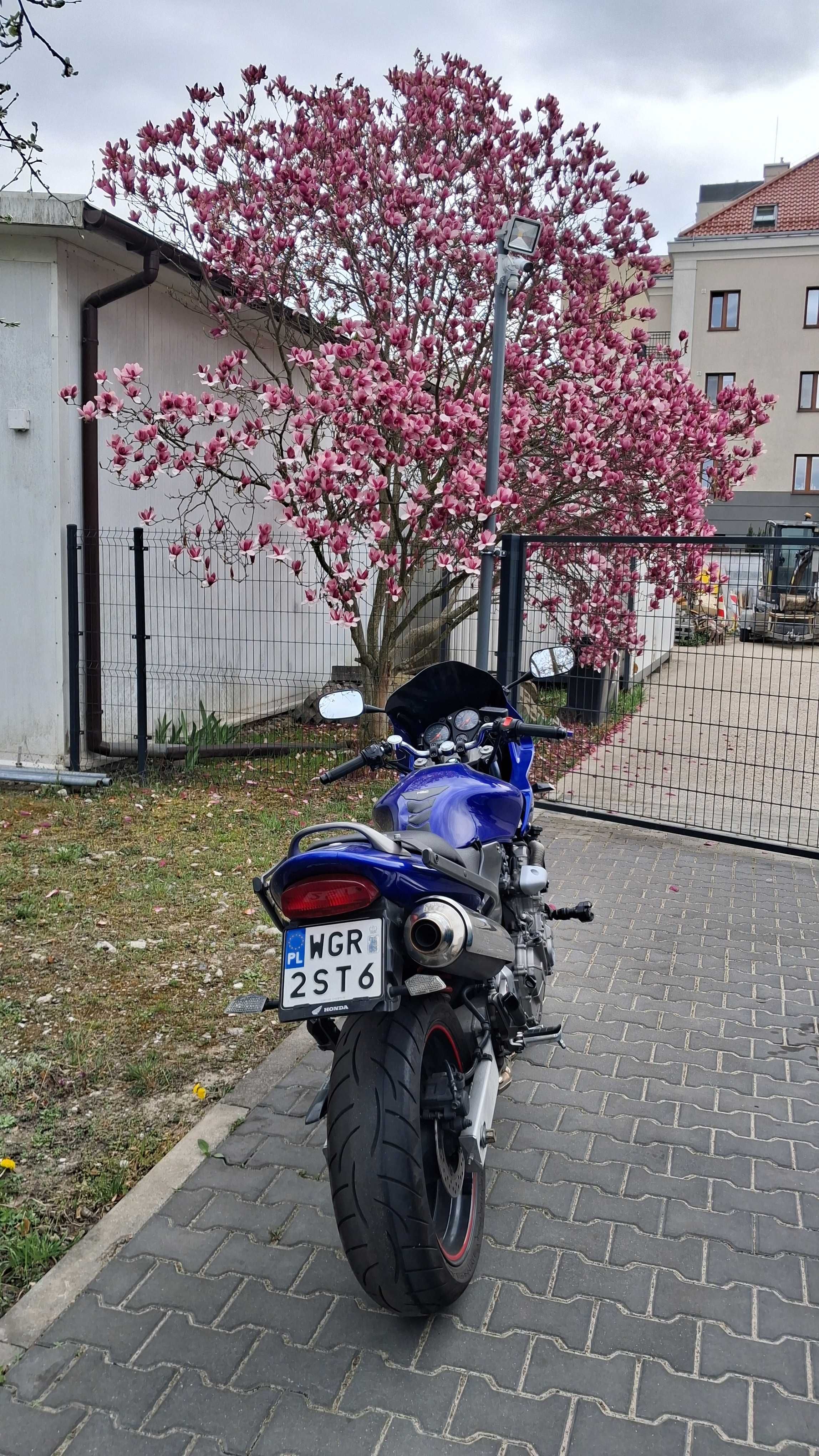 Honda CB 600 S Hornet