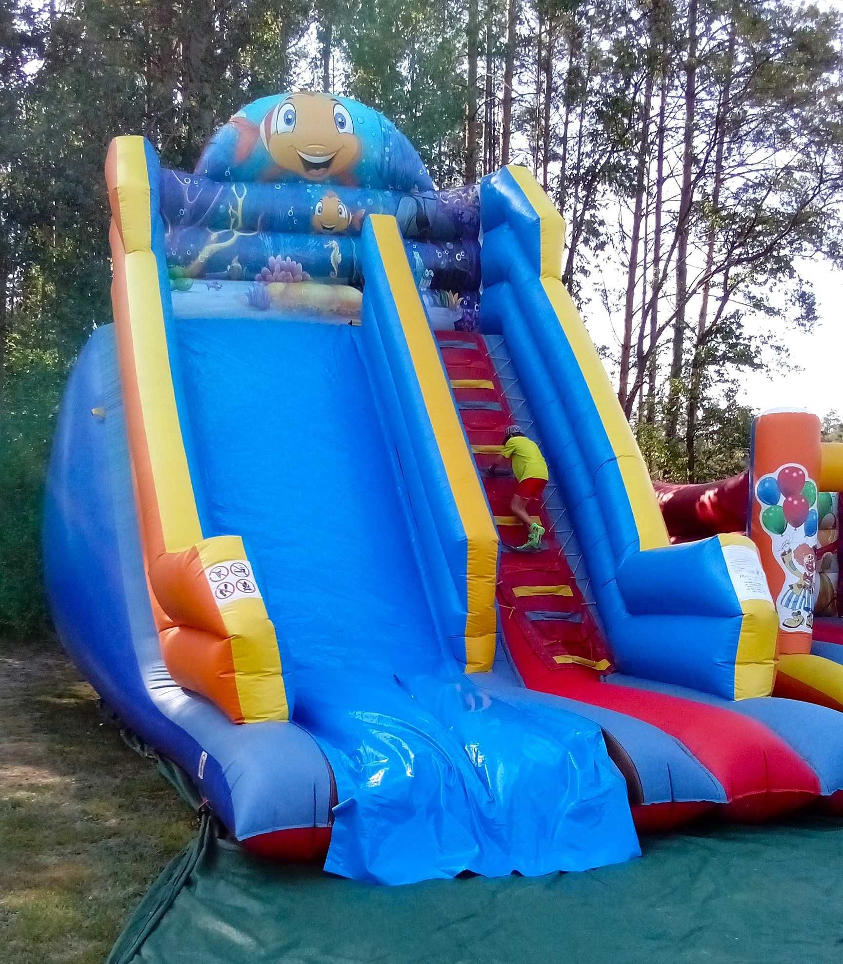 Imprezy dla dzieci, dmuchańce, Klaun itp.