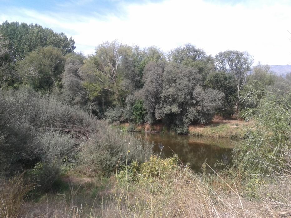 Quinta perto da Ponte Pedrinha