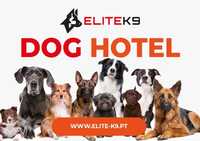 Elite-K9 dog hotel / hotel canino / Treino / Problemas comportamentais