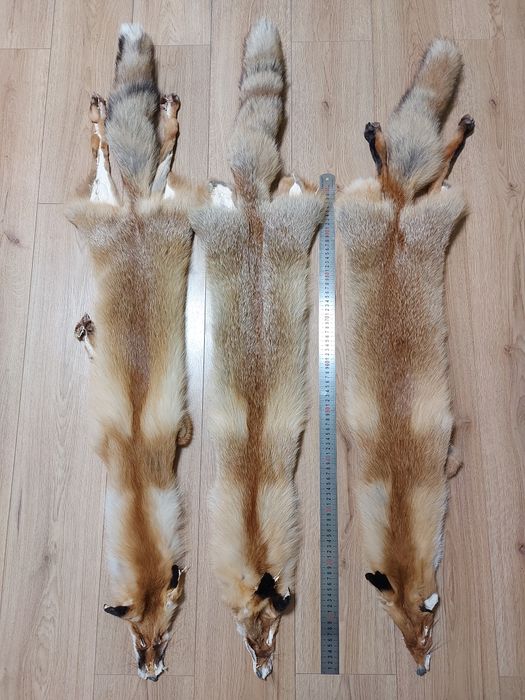 Хутро лиса, шкури лисиці