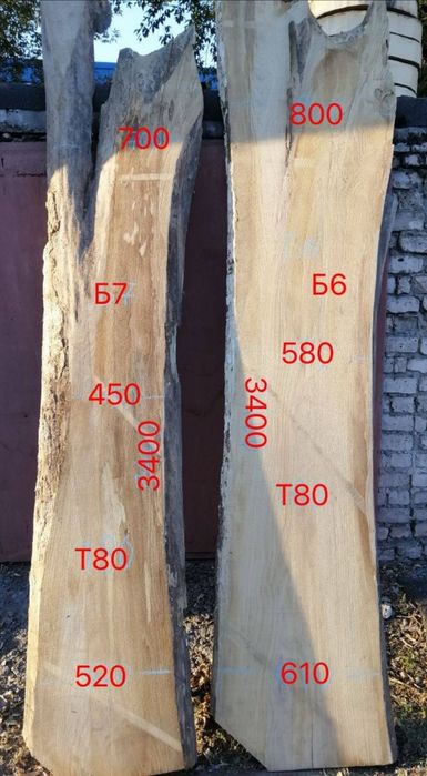 Слэб Берест сухая доска