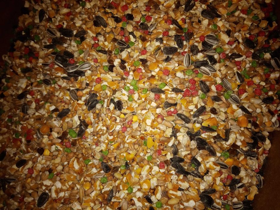 Karma dla dzikich ptaków PPio 10kg Kampol