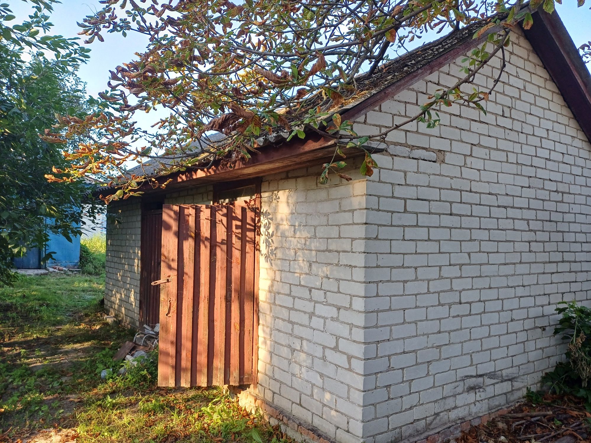 Продам будинок в с. Виблі