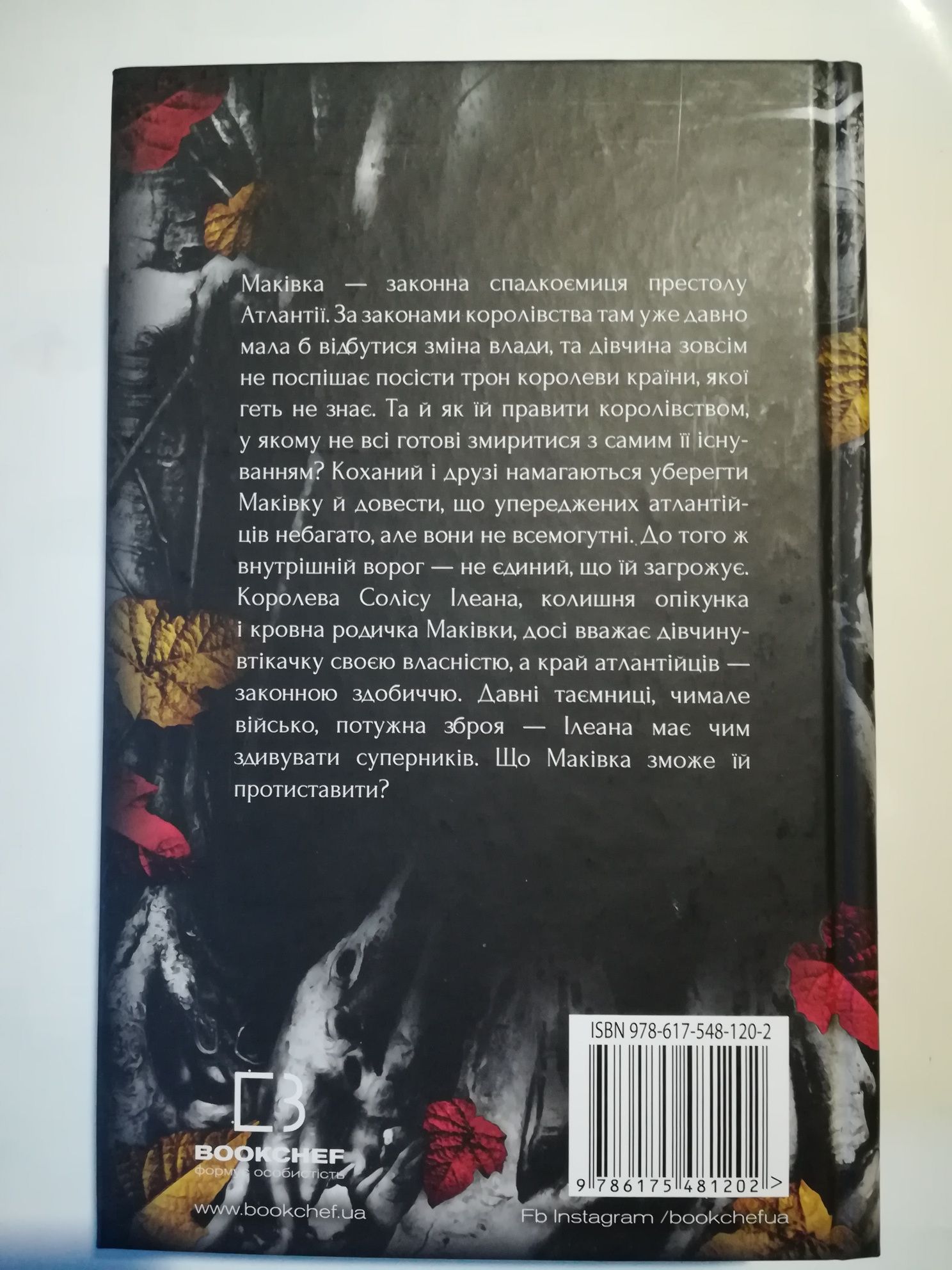 Корона з позолочених кісток - Дженніфер Л. Арментраун