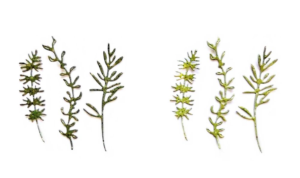 Wykrojnik 3  podłużne gałązki   * koperek*