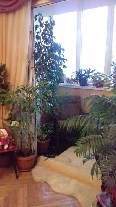 Продаж 3-кімнатної квартири в самому центрі Броварів.