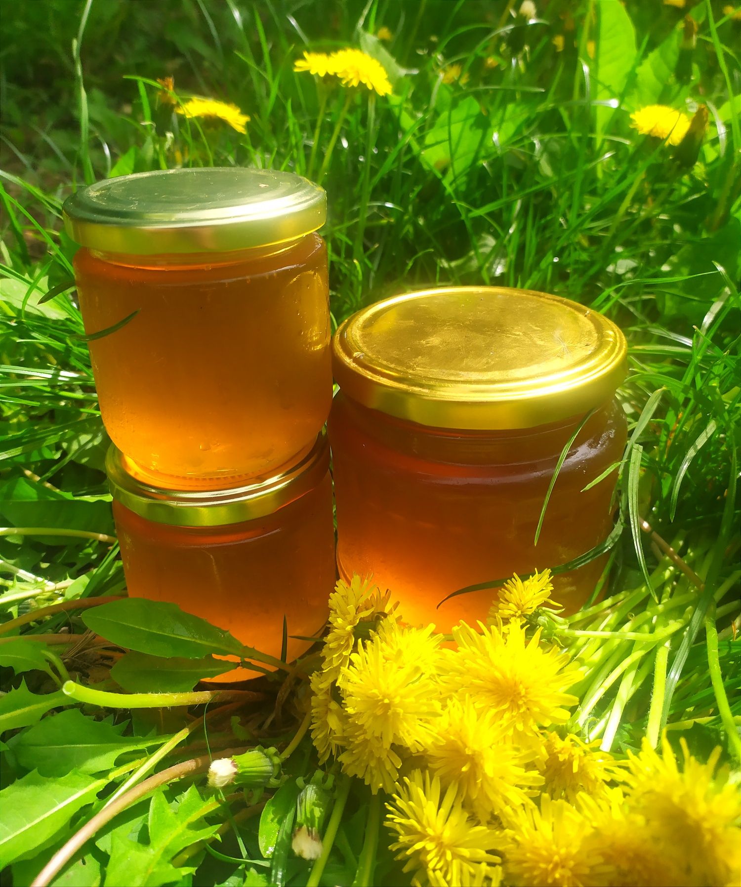 Варення з кульбаби та лимону з квітів одуванчиков мед
