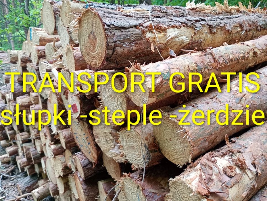 Słupki ogrodzeniowe żerdzie stęple