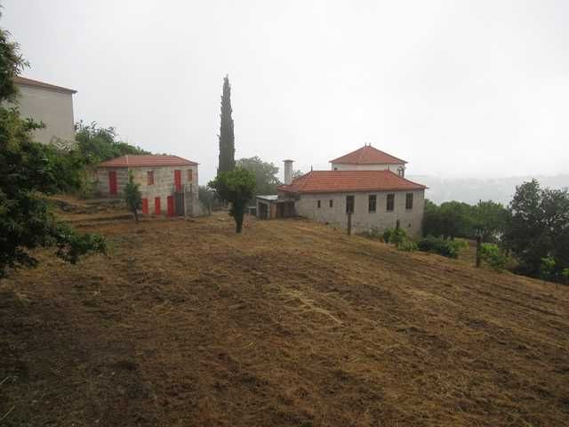 Limpeza de terrenos e jardins