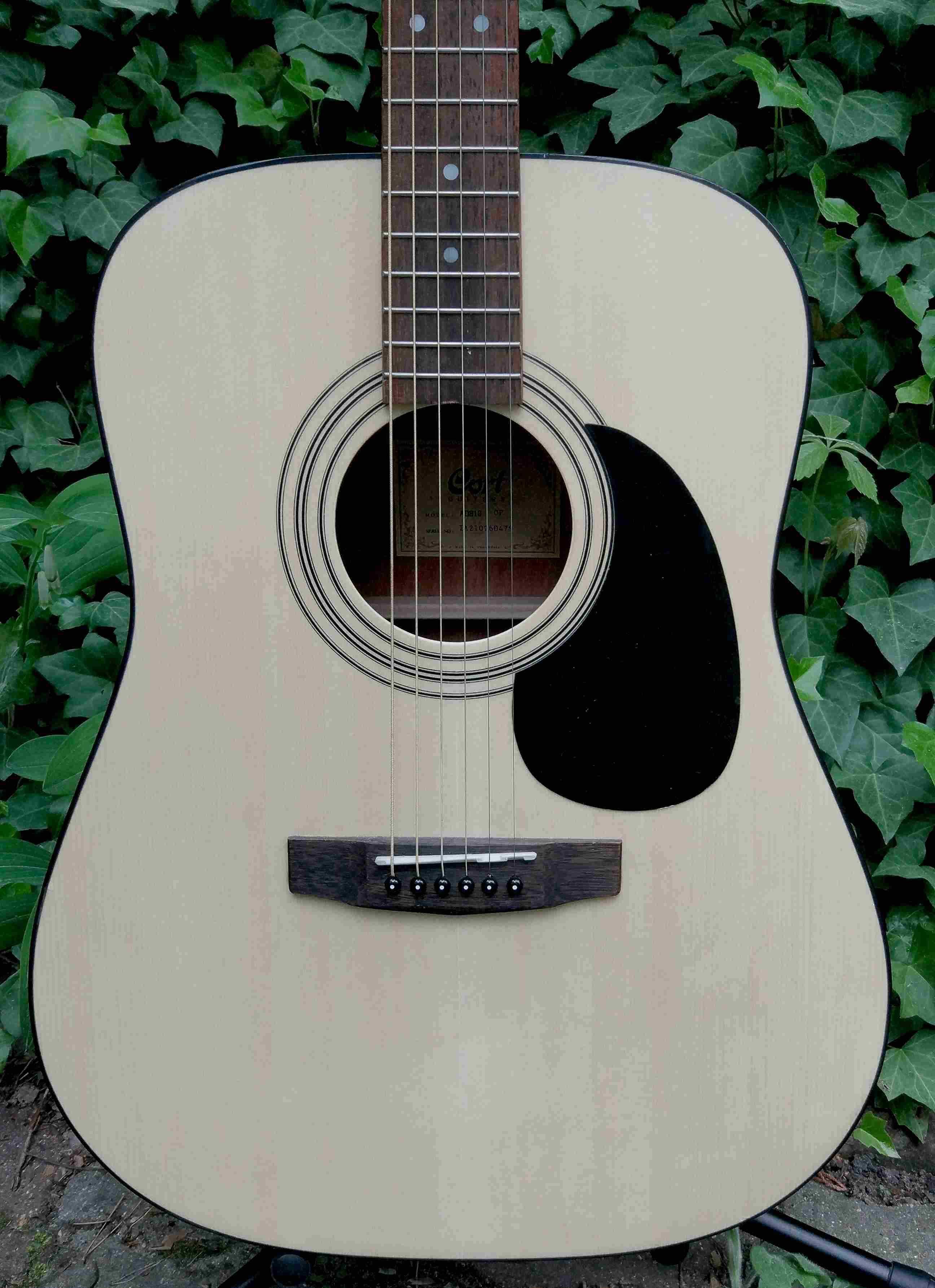 Gitara akustyczna Cort AD810 OP- idealny stan