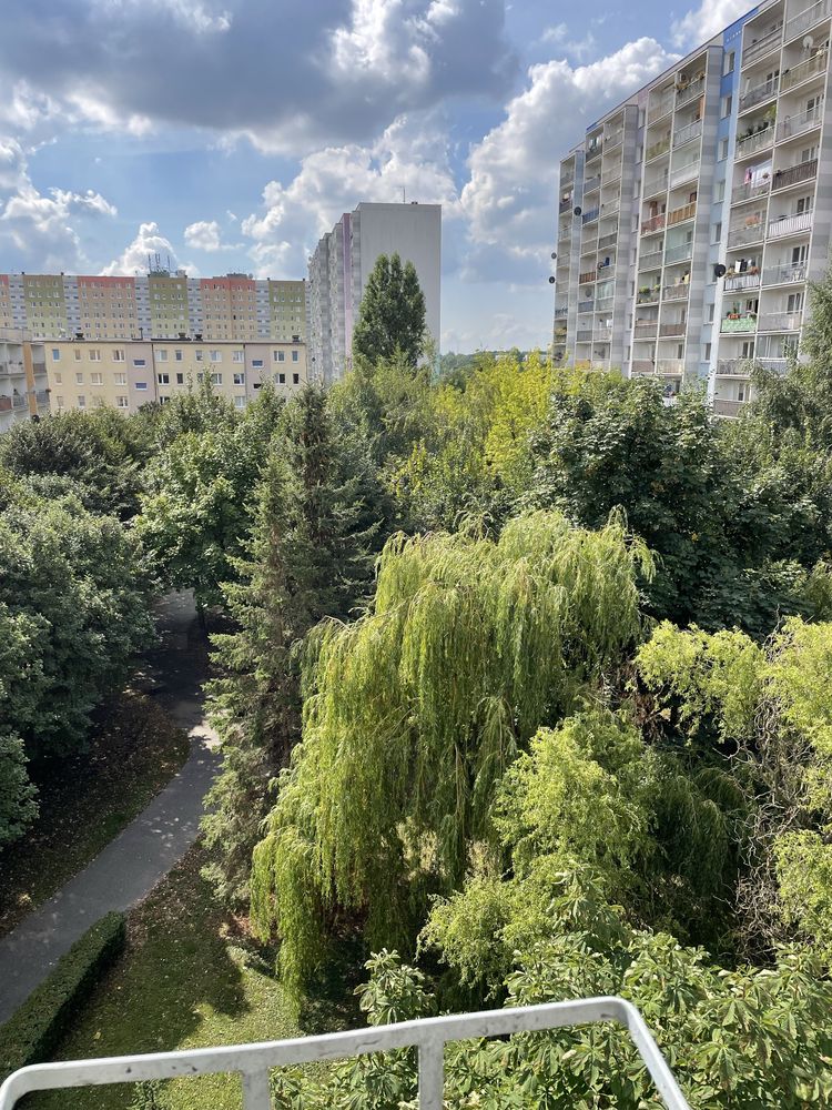 Śliczny pokój jednoosobowy w mieszkaniu studenckim