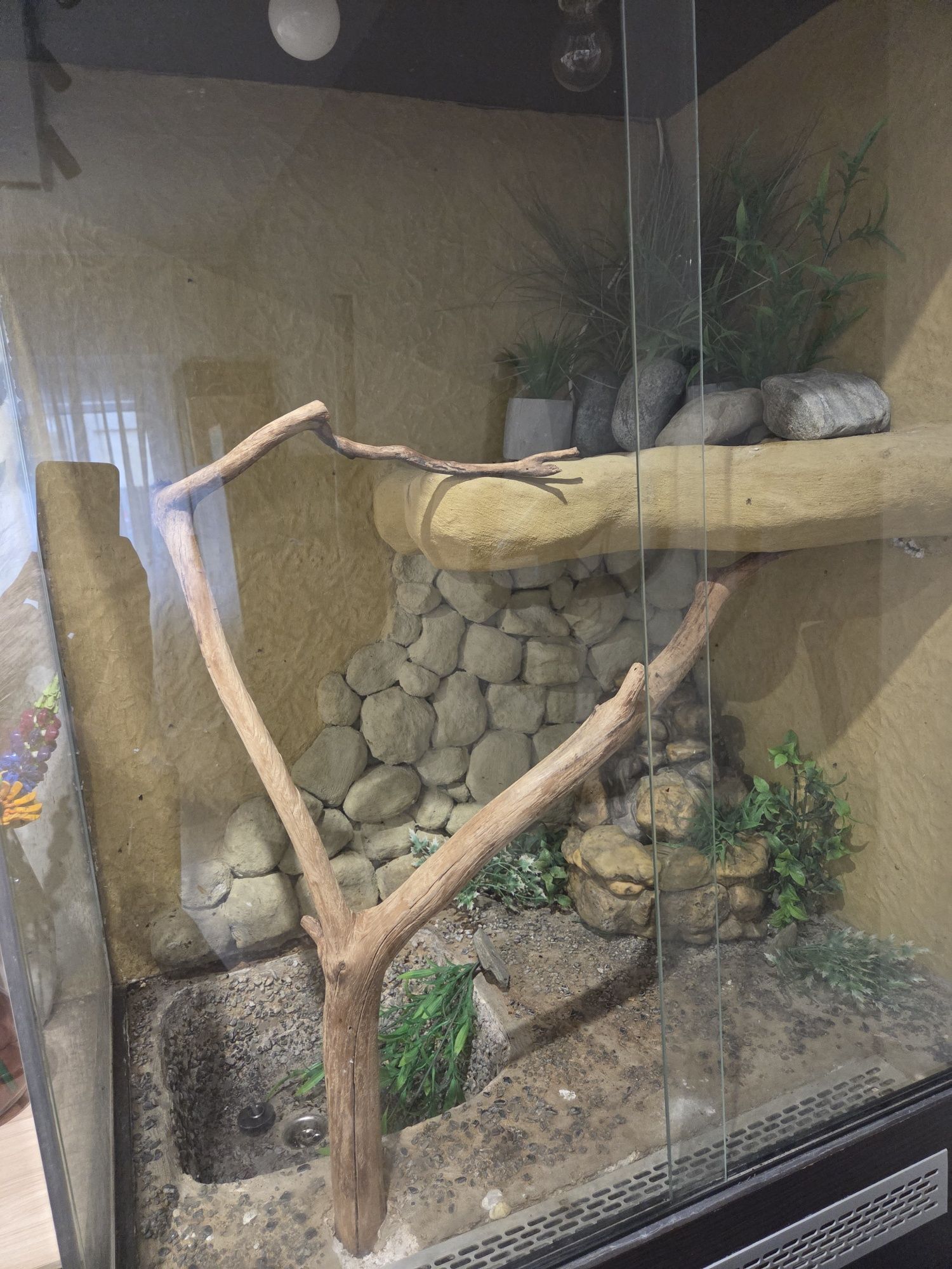 Sprzedam duże terarium z szafką