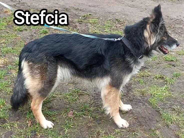 4-letnia Stefcia chce do domku