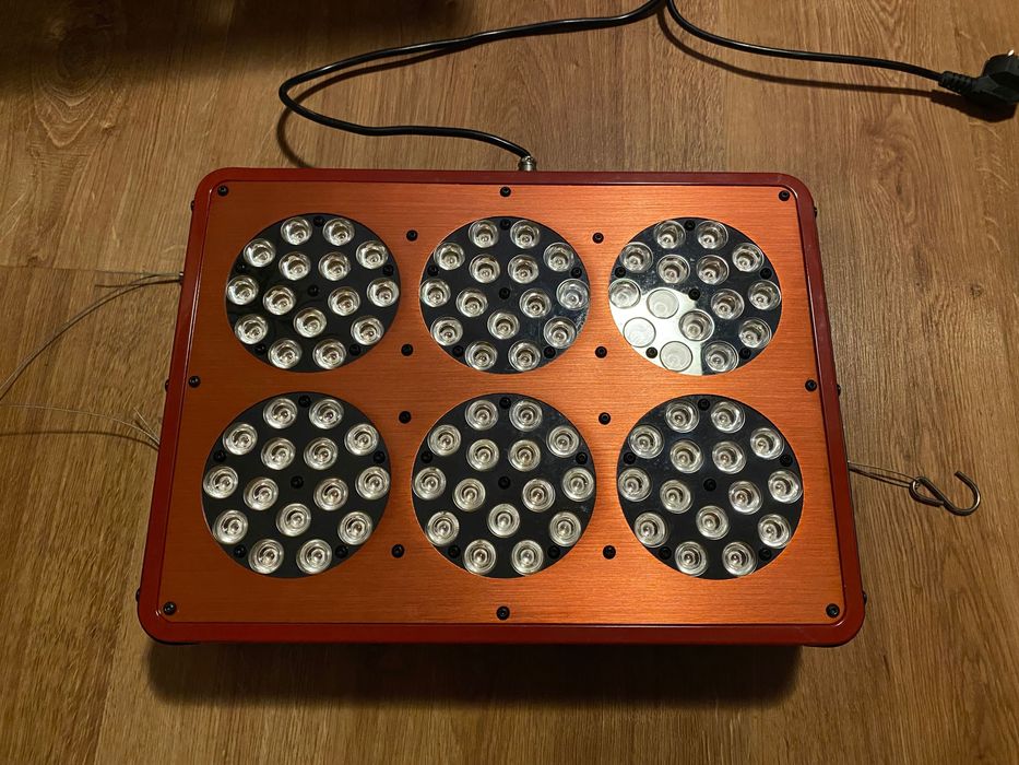 Lampa LED do wzrostu roślin Phytoleds