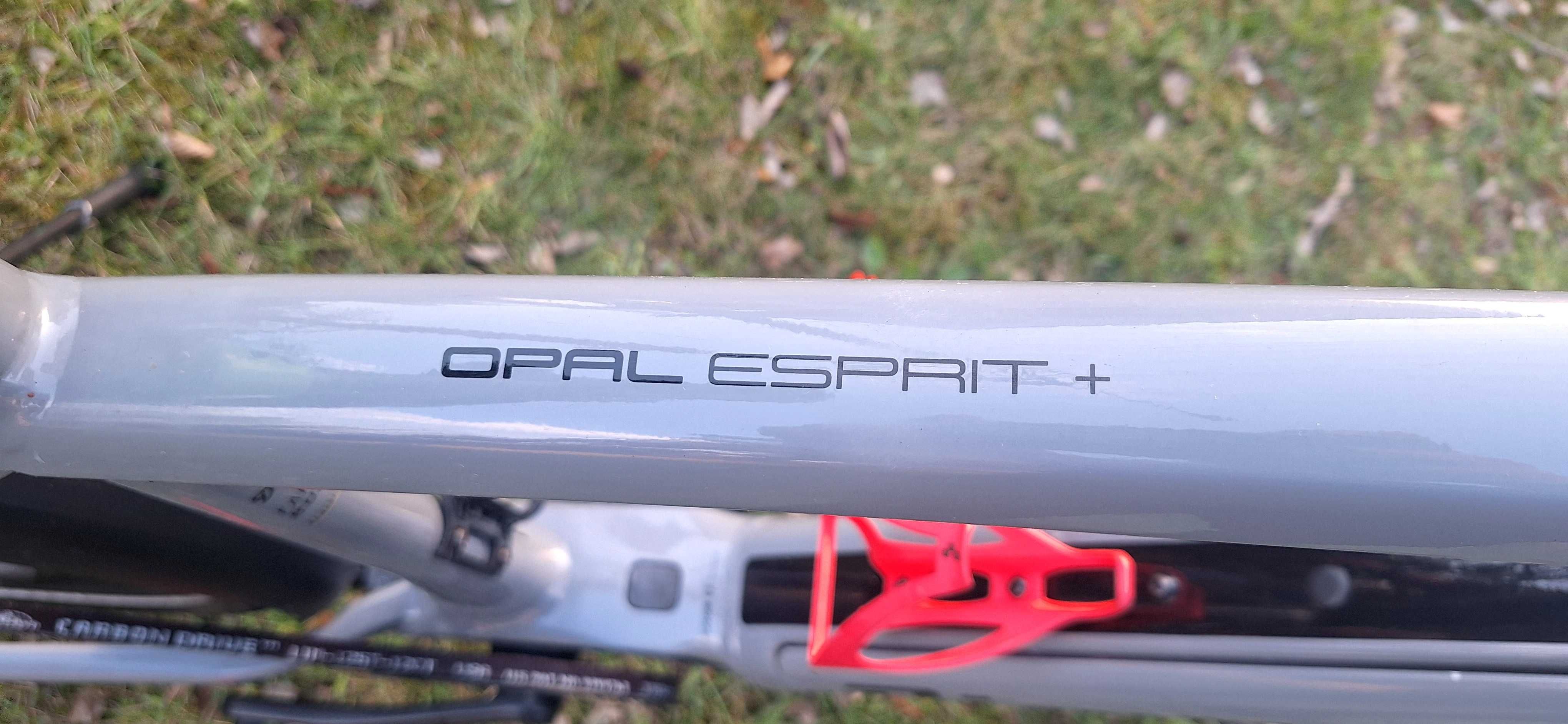 Rower elektryczny Diamant opal Esprit+ XL