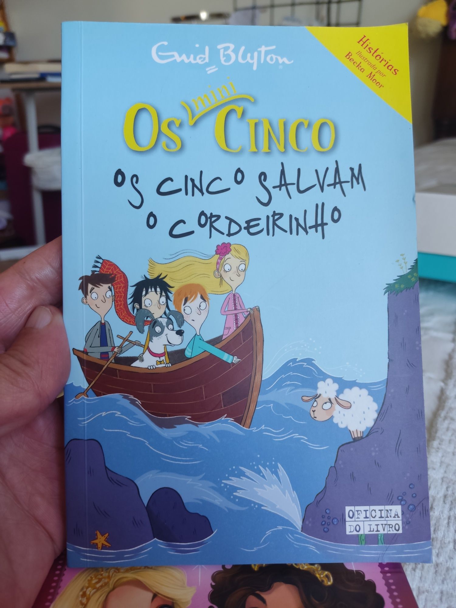 Livro os mini cinco