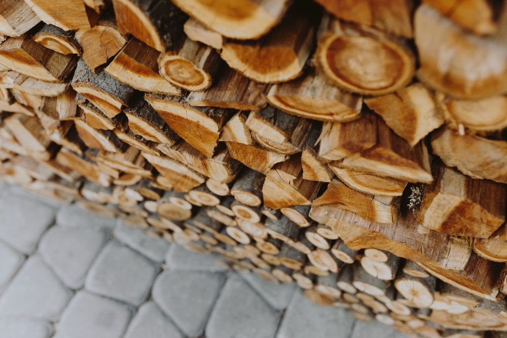 ‼️Świeże drewno opałowe – buk, dąb, brzoza, sosna! Dostawa pod dom!