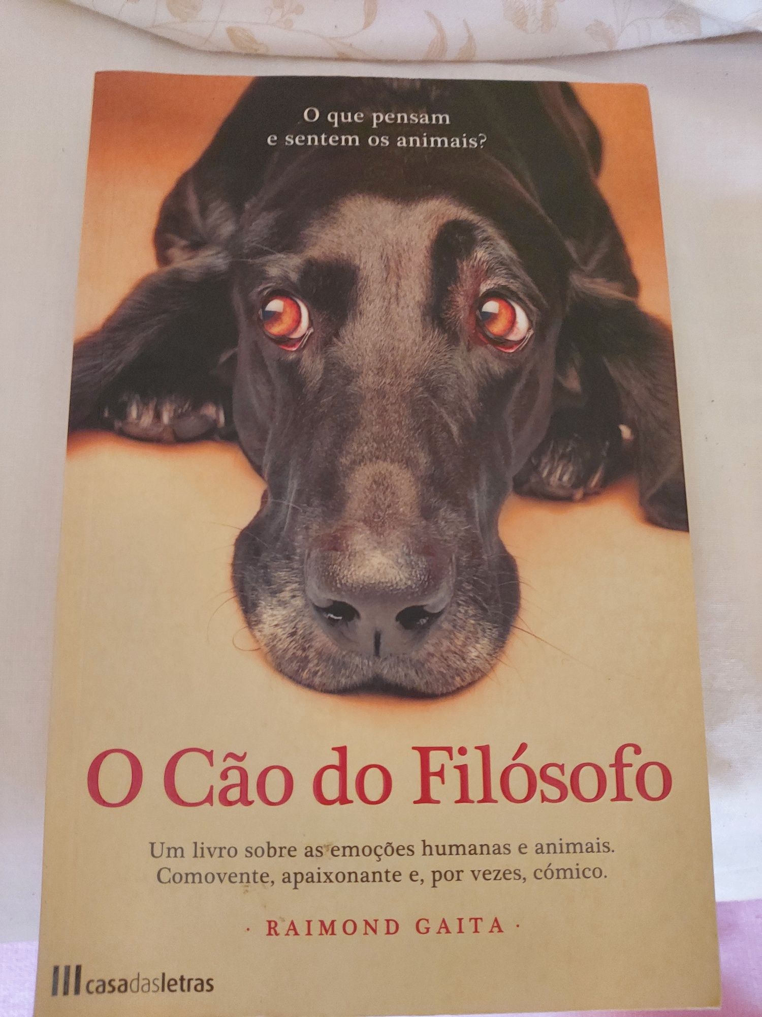 Livro- o cão do filósofo/nunca me esquecas