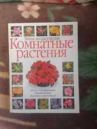 Комнатные растения и уход за ними.