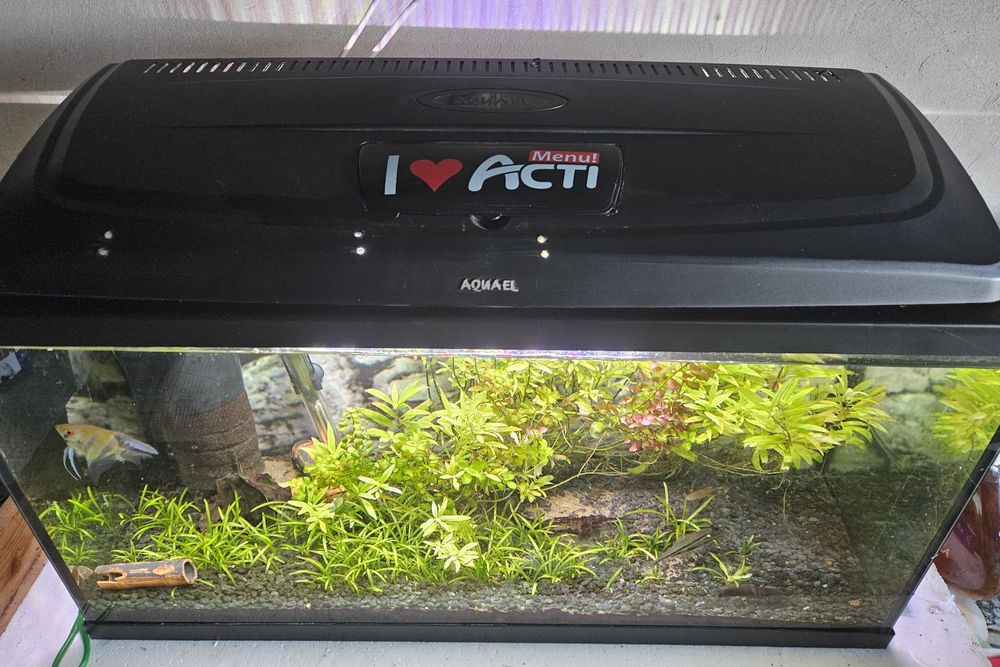 Akwarium 120 litrów