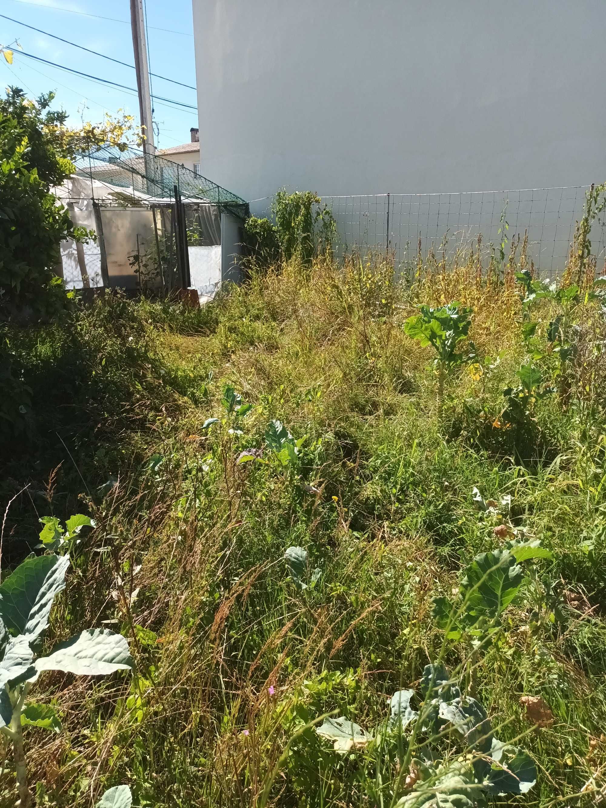 Limpeza de terrenos e jardinagem