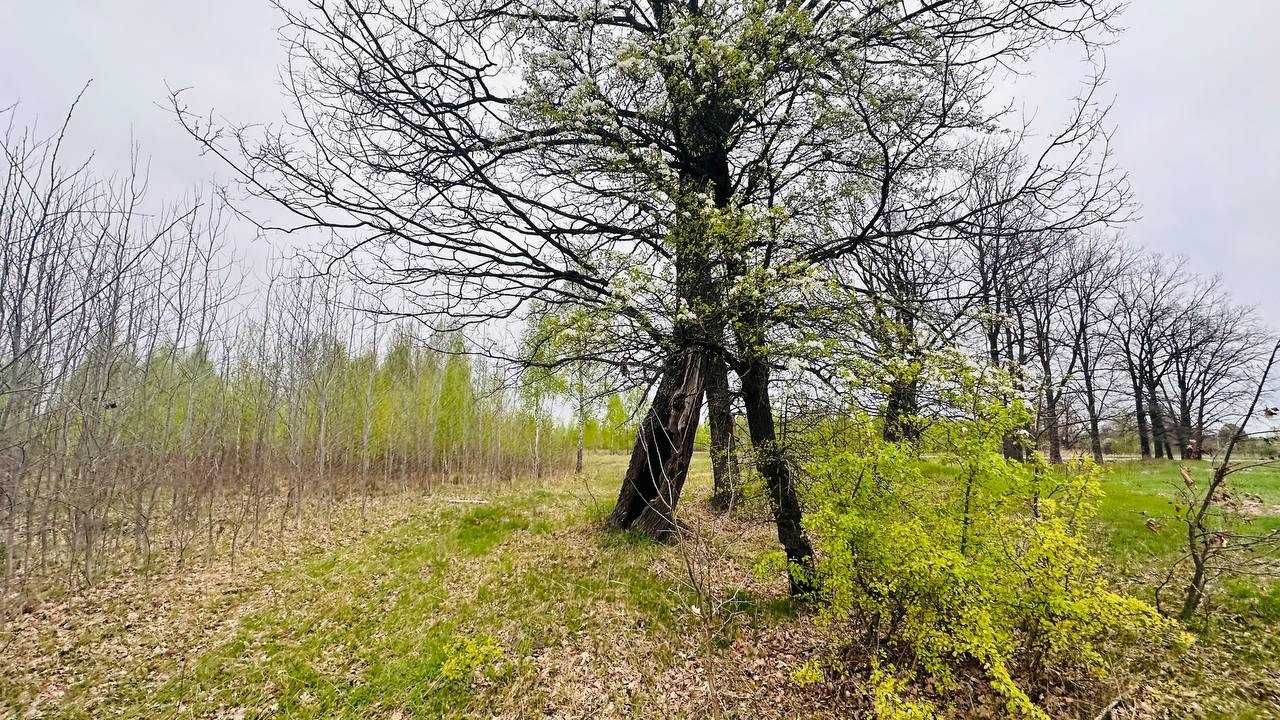 Земельна ділянка в затишному районі Київської області!