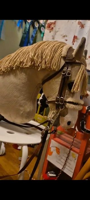 Hobby horse na wymiane ! Rezerwacha nie kupować Amazar