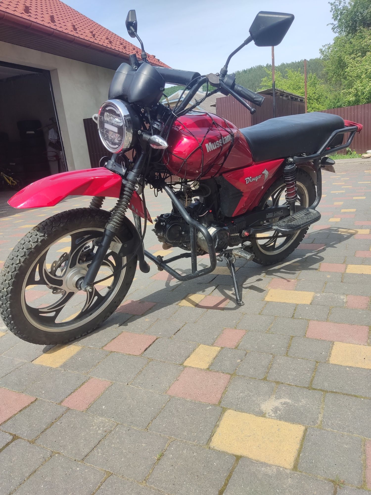 Musstang dingo XL