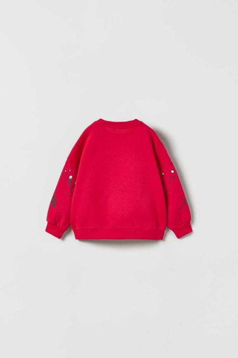 Bluza niemowlęca ocieplana rozmiar 68