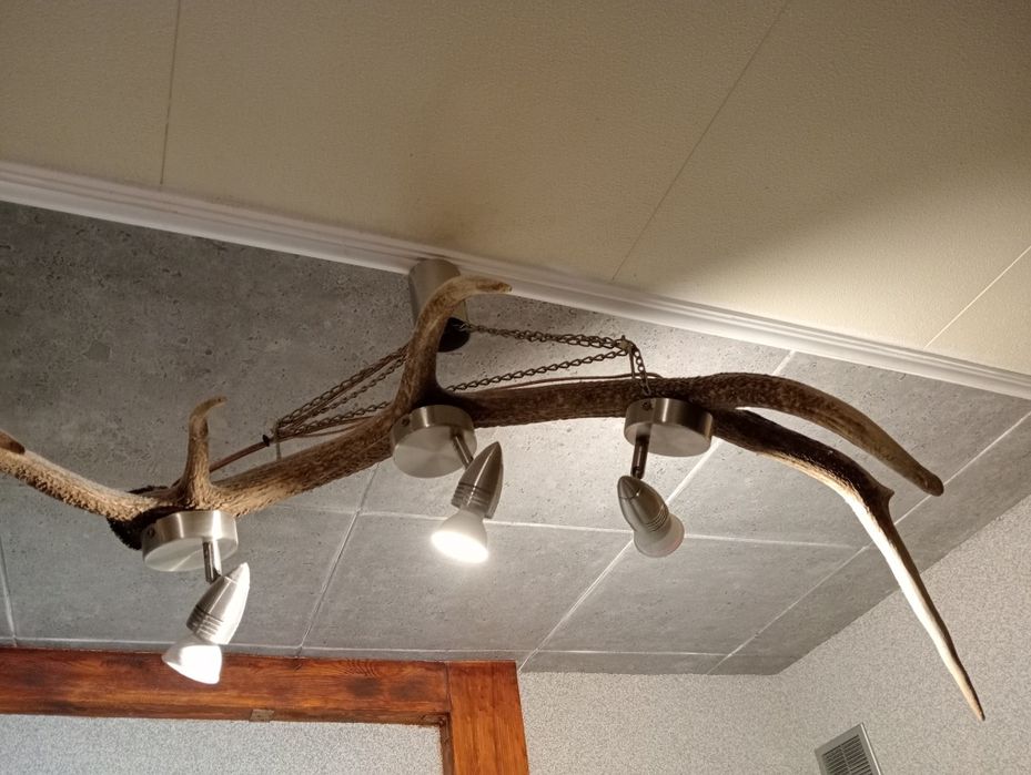 Lampa poroże jelenia