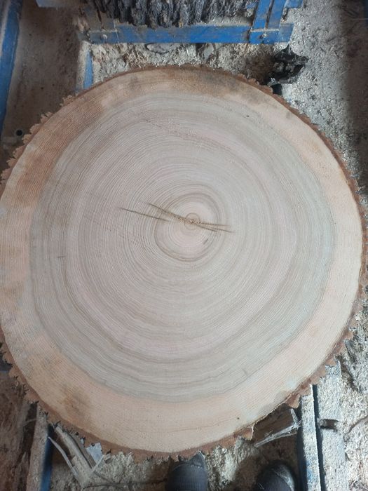 PLASTER  unikat 100cm ładne słoje Jesion stolik kawowy plaster