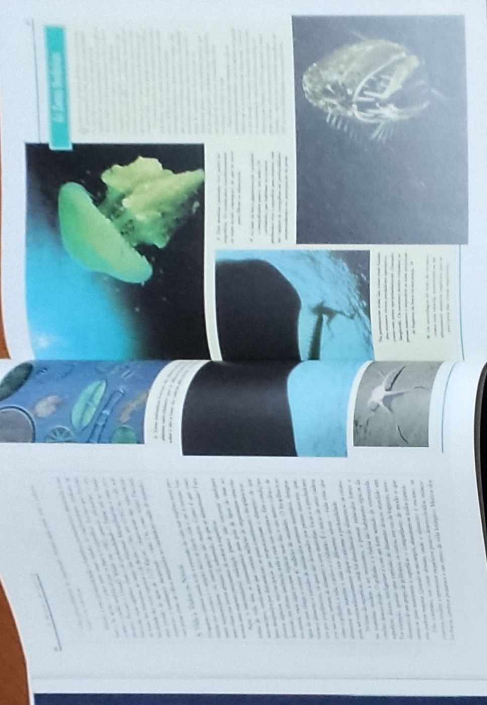 Explorando as profundezas - Seleções Readers Digest