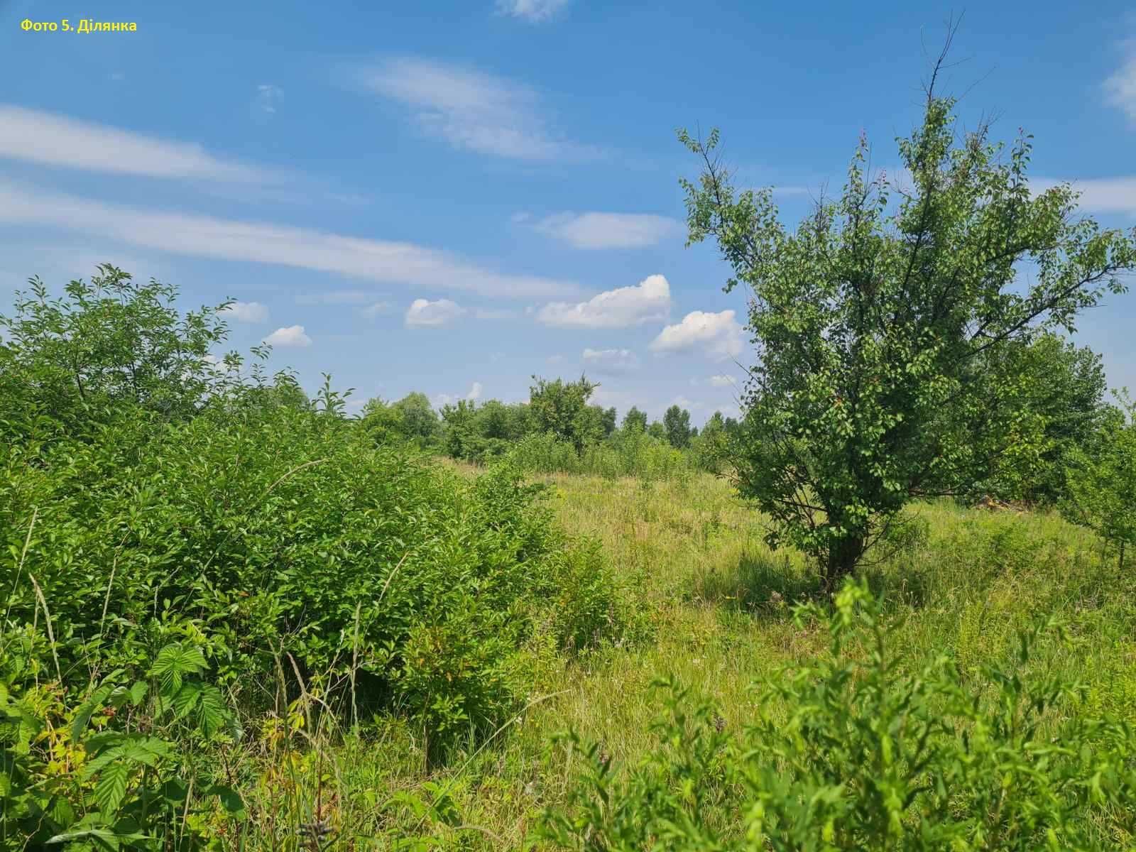 Земельна ділянка, під будівництво, 7 соток, Троєщина