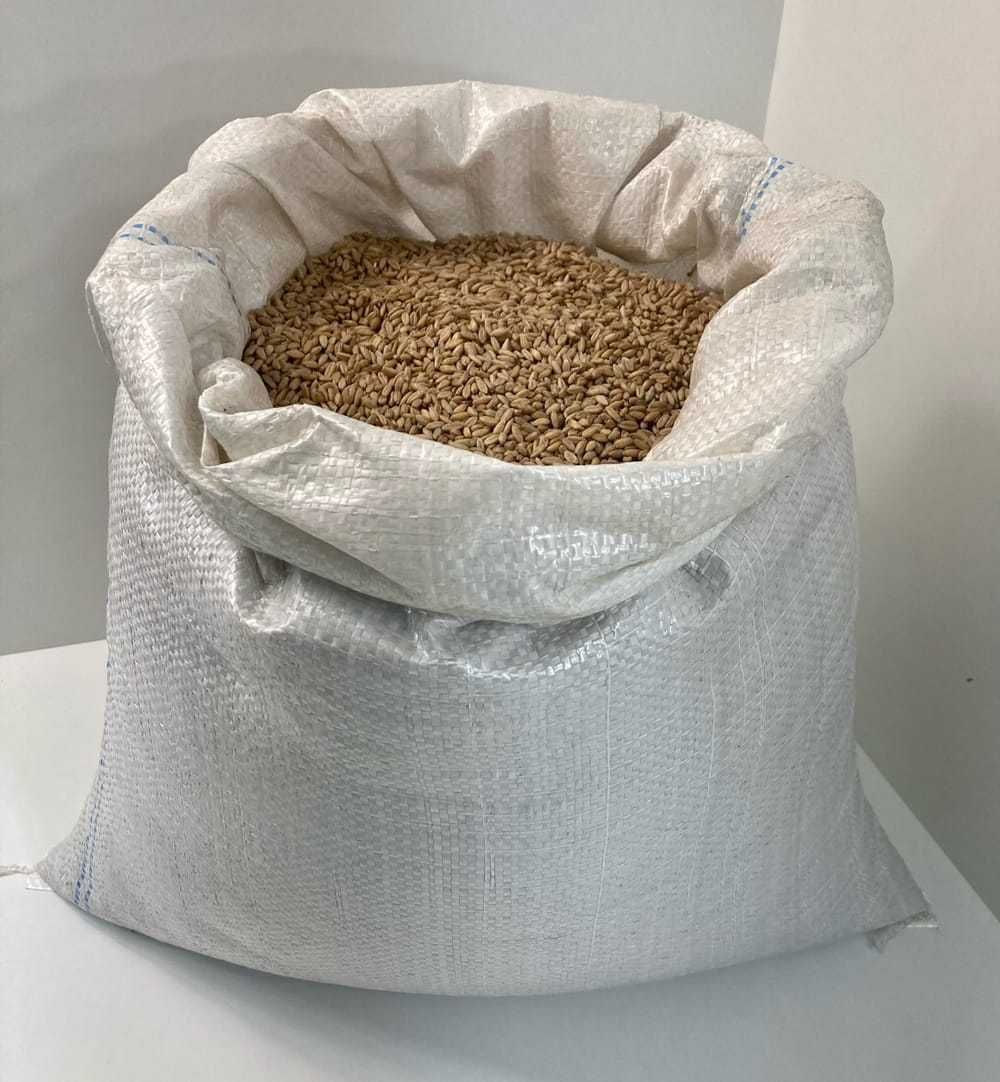 Pradawny ORKISZ na Mąkę do Thermomixa Młynka 20 KG EKO