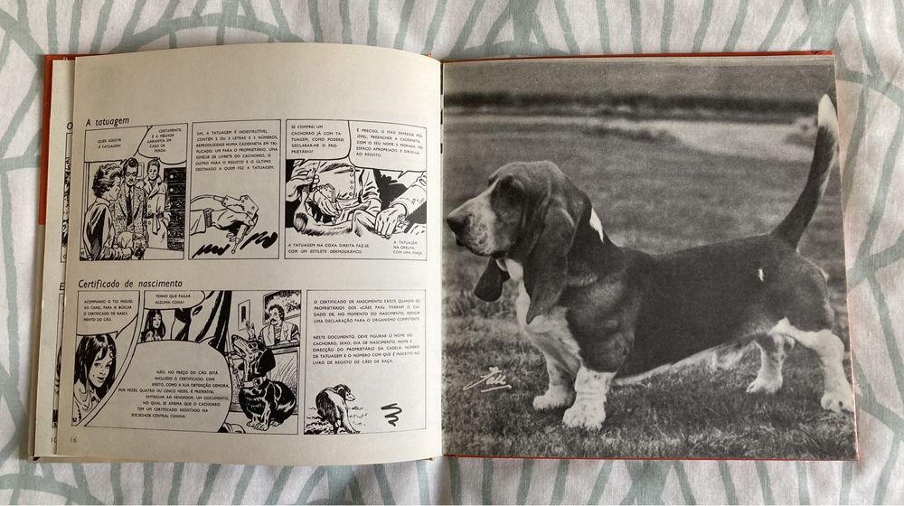 Livro O Cão (Vintage, anos 70)